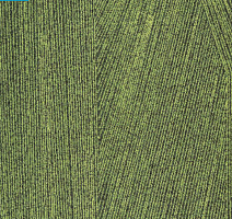 Ковровая плитка Milliken Facet fct 88-141 Forest фото 1 | FLOORDEALER